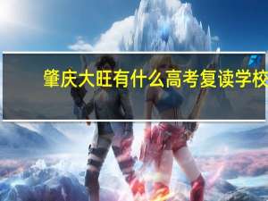 肇庆大旺有什么高考复读学校