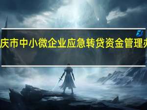 肇庆市中小微企业应急转贷资金管理办法 试行(关于肇庆市中小微企业应急转贷资金管理办法 试行简述)