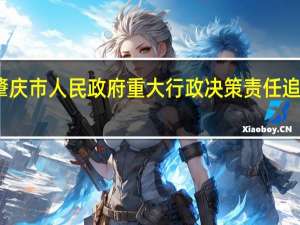 肇庆市人民政府重大行政决策责任追究办法(关于肇庆市人民政府重大行政决策责任追究办法简述)