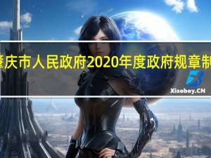 肇庆市人民政府2020年度政府规章制定计划(关于肇庆市人民政府2020年度政府规章制定计划简述)