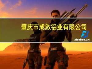 肇庆市成啟铝业有限公司(关于肇庆市成啟铝业有限公司简述)