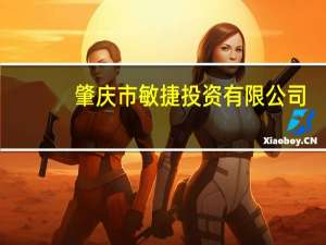 肇庆市敏捷投资有限公司(关于肇庆市敏捷投资有限公司简述)