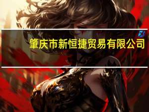 肇庆市新恒捷贸易有限公司(关于肇庆市新恒捷贸易有限公司简述)