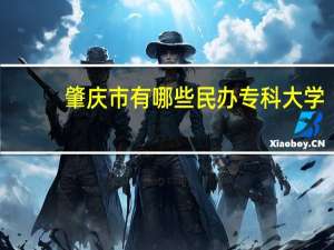 肇庆市有哪些民办专科大学