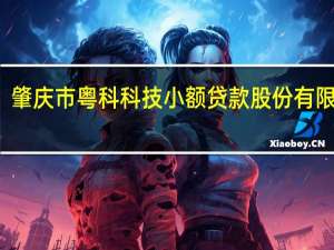 肇庆市粤科科技小额贷款股份有限公司(关于肇庆市粤科科技小额贷款股份有限公司简述)