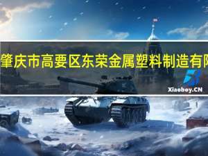 肇庆市高要区东荣金属塑料制造有限公司(关于肇庆市高要区东荣金属塑料制造有限公司简述)