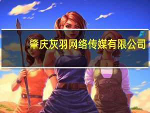 肇庆灰羽网络传媒有限公司(关于肇庆灰羽网络传媒有限公司简述)