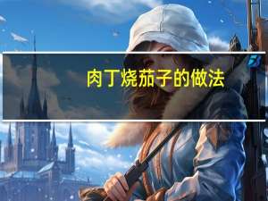 肉丁烧茄子的做法