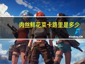 肉丝鲜花菜卡路里是多少