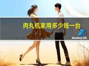 肉丸机家用多少钱一台