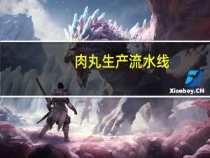 肉丸生产流水线(关于肉丸生产流水线简述)