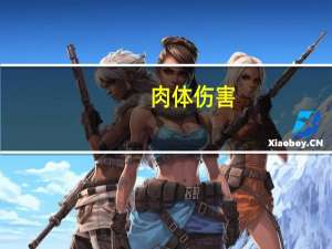 肉体伤害(关于肉体伤害简述)