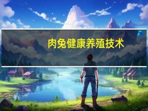 肉兔健康养殖技术(关于肉兔健康养殖技术简述)