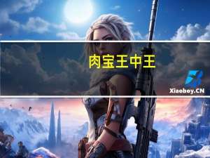 肉宝王中王(关于肉宝王中王简述)