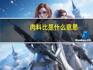 肉料比是什么意思