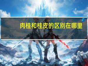 肉桂和桂皮的区别在哪里