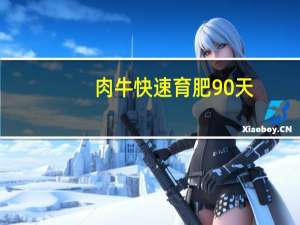 肉牛快速育肥90天(关于肉牛快速育肥90天简述)