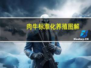 肉牛标准化养殖图解(关于肉牛标准化养殖图解简述)