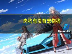 肉狗有没有宠物狗