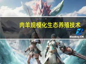 肉羊规模化生态养殖技术/规模化生态养殖丛书(关于肉羊规模化生态养殖技术/规模化生态养殖丛书简述)