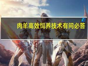肉羊高效饲养技术有问必答(关于肉羊高效饲养技术有问必答简述)