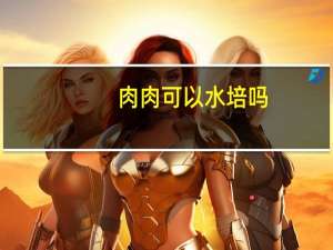 肉肉可以水培吗