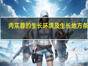 肉苁蓉的生长环境及生长地方条件