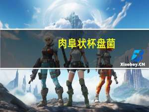 肉阜状杯盘菌(关于肉阜状杯盘菌简述)