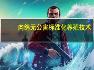 肉鸽无公害标准化养殖技术(关于肉鸽无公害标准化养殖技术简述)