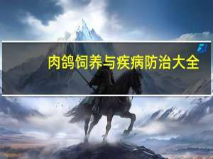 肉鸽饲养与疾病防治大全(关于肉鸽饲养与疾病防治大全简述)