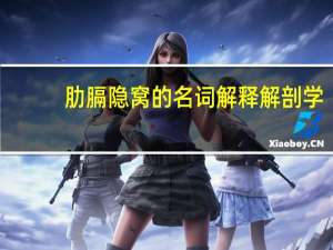 肋膈隐窝的名词解释解剖学