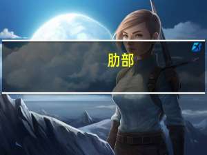 肋部(关于肋部简述)