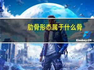 肋骨形态属于什么骨（正常小孩肋骨的形态）