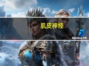 肌皮神经(关于肌皮神经简述)
