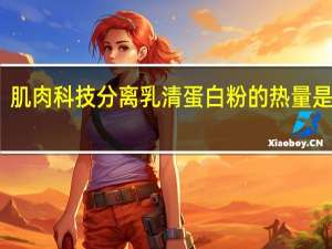 肌肉科技 分离乳清蛋白粉的热量是多少
