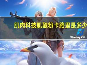 肌肉科技 肌酸粉卡路里是多少