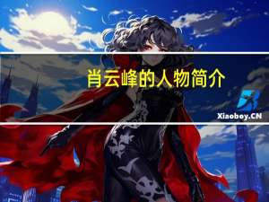 肖云峰的人物简介