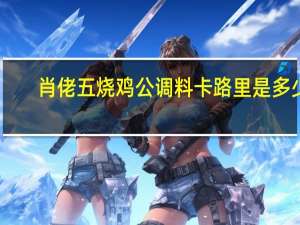 肖佬五 烧鸡公调料卡路里是多少