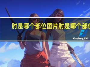 肘是哪个部位图片 肘是哪个部位