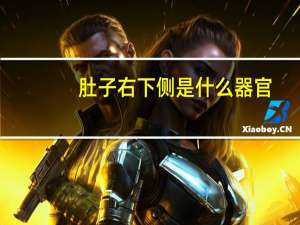 肚子右下侧是什么器官（肚子左下侧是什么器官）