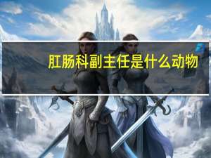 肛肠科副主任是什么动物