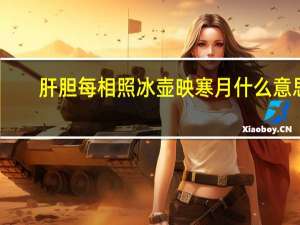 肝胆每相照冰壶映寒月什么意思