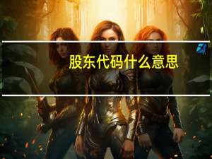 股东代码什么意思