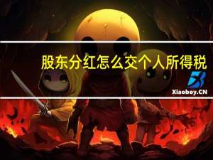 股东分红怎么交个人所得税