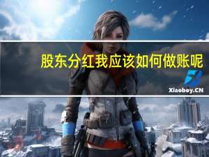 股东分红我应该如何做账呢