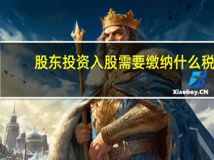 股东投资入股需要缴纳什么税