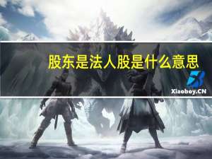 股东是法人股是什么意思（公司是法人股什么意思）