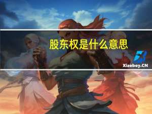 股东权是什么意思