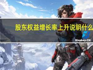 股东权益增长率上升说明什么（股东权益增长率）