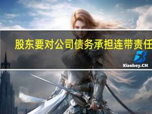 股东要对公司债务承担连带责任吗